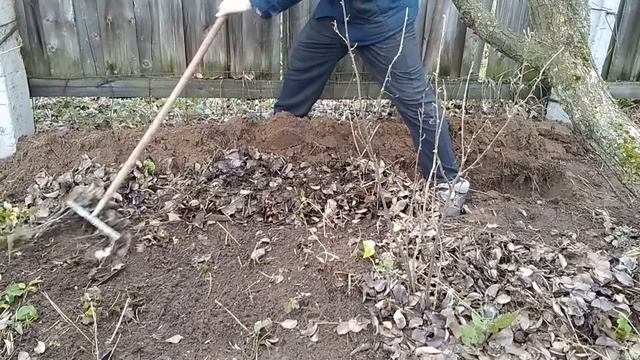 ☼Осенняя уборка листьев груши для её питания и хорошего урожая. смотреть онлайн