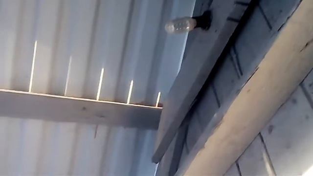 Обзор участка где я временно проживаю |сочи смотреть онлайн