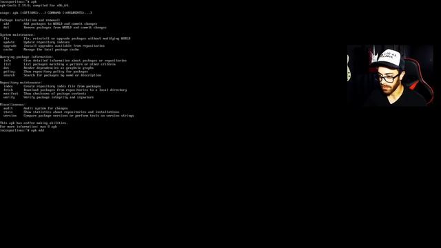 Alpine Linux | Una distro sin GNU! смотреть онлайн