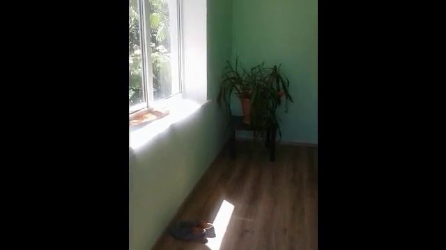 ДОМОВЛАДЕНИЕ 140 кв.м. ГЕЛЕНДЖИК, С.БЕРЕГОВОЕ 8-938-521-10-10 смотреть онлайн