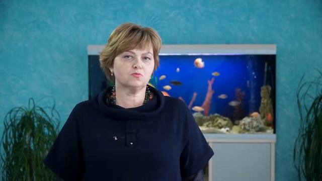 Социальная защита населения. Услуги для инвалидов и детей-инвалидов смотреть онлайн