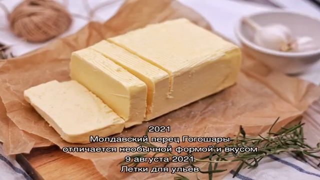 Дизайн и Графика