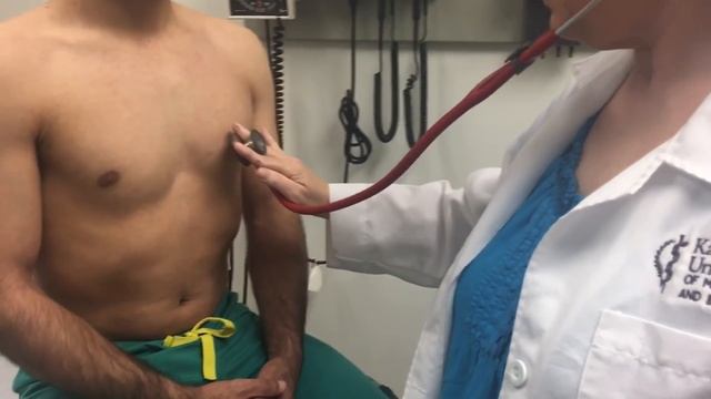 Heart Auscultation: Where to Place the Stethoscope смотреть онлайн