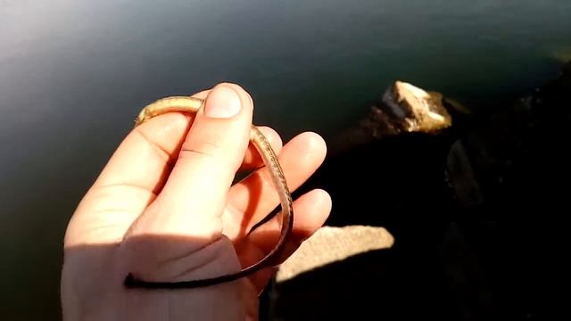 Чудо рыба в пресном водоеме РЫБА ИГЛА буферное (часть 2) смотреть онлайн
