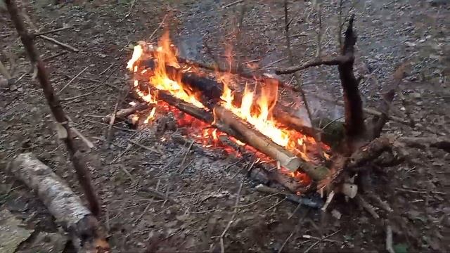 Сколько жара дает костер. Версия 2 смотреть онлайн