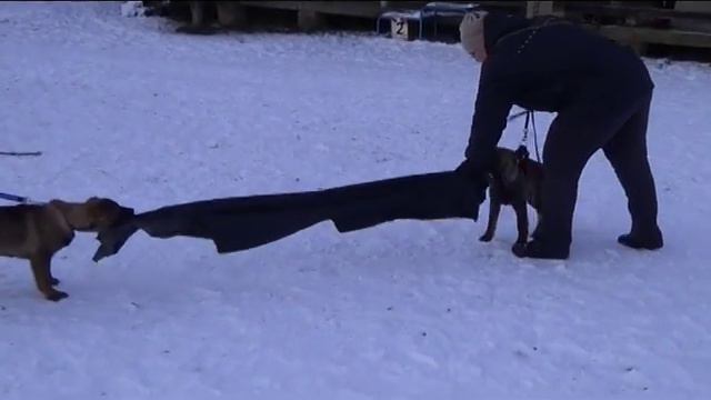 Potomci po Jaro Ja - He - protection 1/2016 смотреть онлайн
