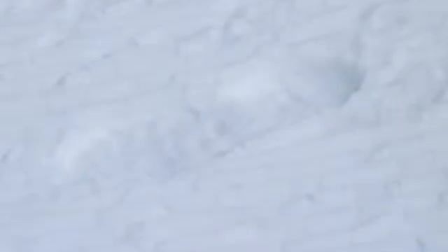Несчастный случай на леднике Хинтертукс смотреть онлайн