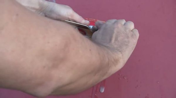 apetor eats surströmming