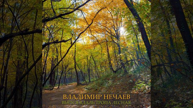 Вьётся вдаль тропа лесная смотреть онлайн