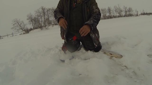 Зимняя рыбалка Щука Новый Уренгой смотреть онлайн