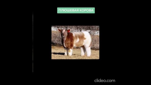 вечер 20.8 3 смотреть онлайн