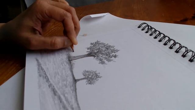 Pencil sketch trees смотреть онлайн