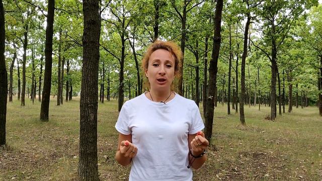 Что делать после тренинга по развитию памяти?