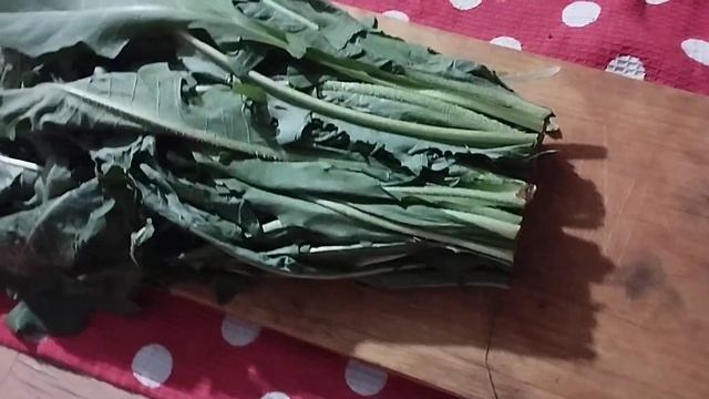 Как я заготавливаю листья одуванчика смотреть онлайн