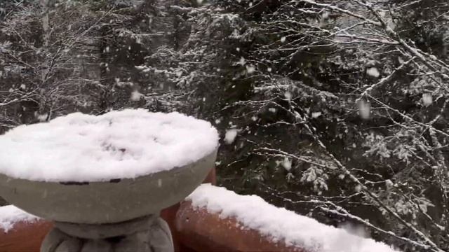 Our first snow of the year at our off grid log cabin смотреть онлайн