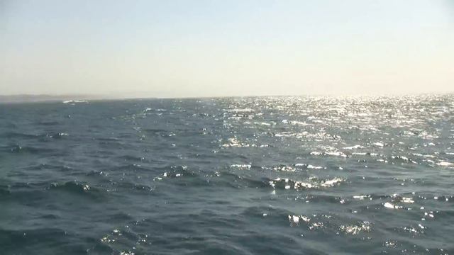 Swell, Pacific. Зыбь, Тихий океан (1490sp) смотреть онлайн