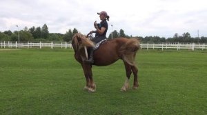 Учебная рысь без седла и снова про копчик.