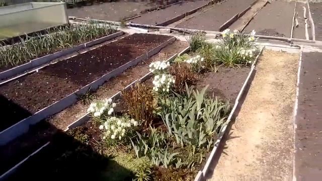 Каркас для грядки из ЦСП!!! смотреть онлайн