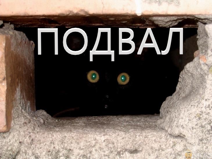 ПОДВАЛ смотреть онлайн