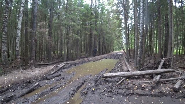 Тест драйв   Toyota LC 200