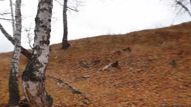 РМ 800 процесс обкатки смотреть онлайн