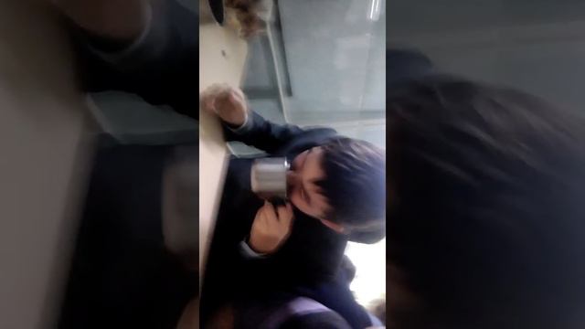 Перец чили и почесал свой глаз , глаз просто горел смотреть онлайн