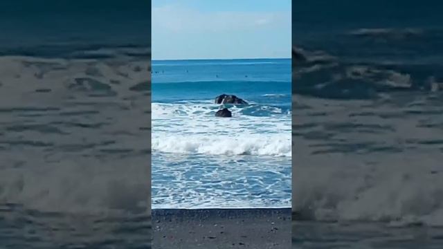 Вода Тенерифе, фрагменты подводной сьемки. Аттракцион с акулами аквапарк смотреть онлайн