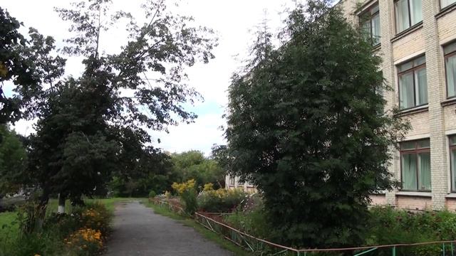 ШКОЛЫ ГОТОВЫ смотреть онлайн