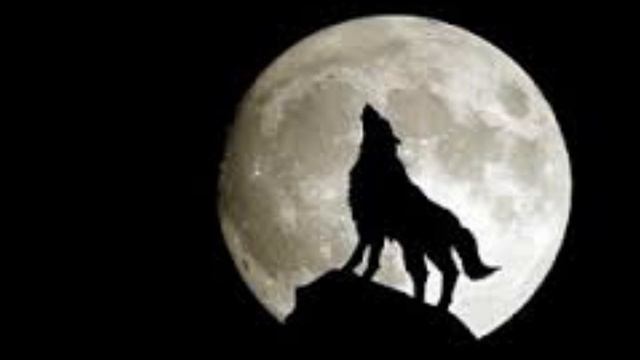 Guten Abend Und Gute Nacht Lucia Popp
