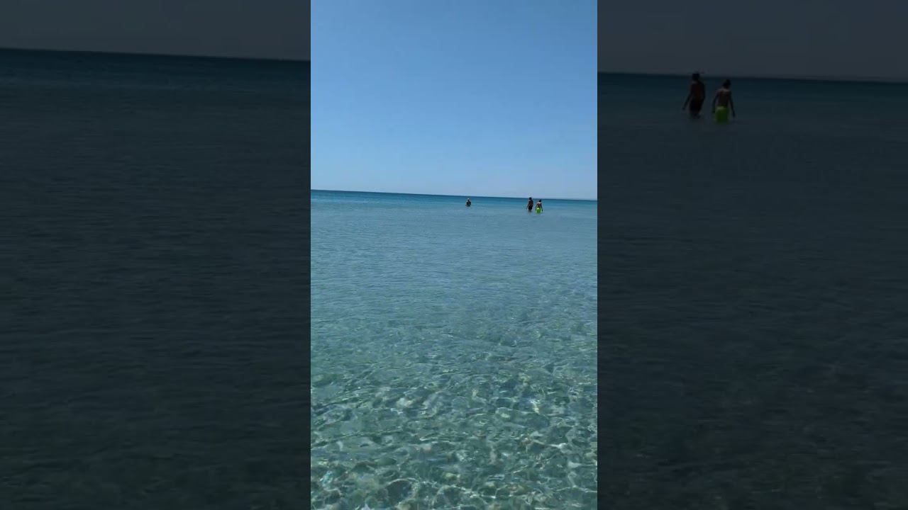 Беляус - Крымские Мальдивы!!!#крым2024 #shotrs #море #travel #евпатория смотреть онлайн