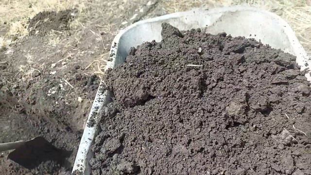 Яма для туалета/шабашка 4 июня 2022 г. смотреть онлайн