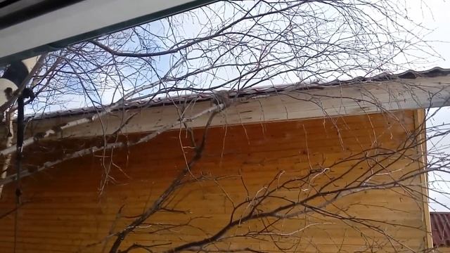 А нужна ли сетка против ос (насекомых) для кровли?! смотреть онлайн