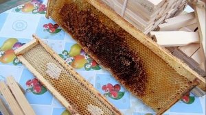 Какие пчелиные рамки купить,рамки для пчел купить