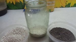 ПРИГОТОВИТЬ ВЫТЯЖКУ ИЗ СУПЕРФОСФАТА ПРОСТО! Ольга Чернова.