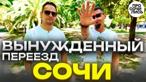 Переезд в Сочи из Сибири ➤отзыв о Сочи ➤где работать в Сочи ✔плюсы и минусы Сочи на пмж Просочились