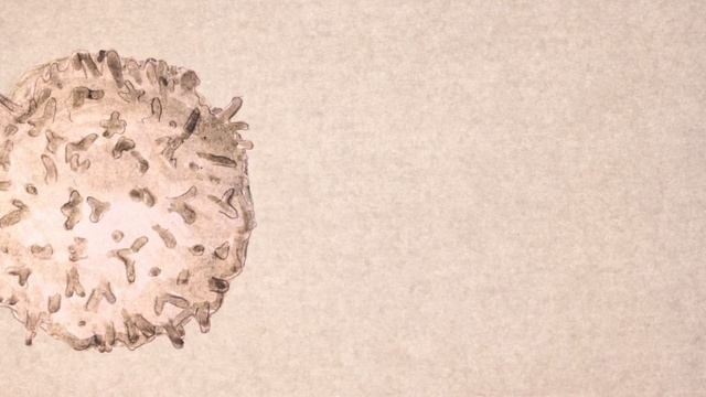 Inside the Thymus смотреть онлайн