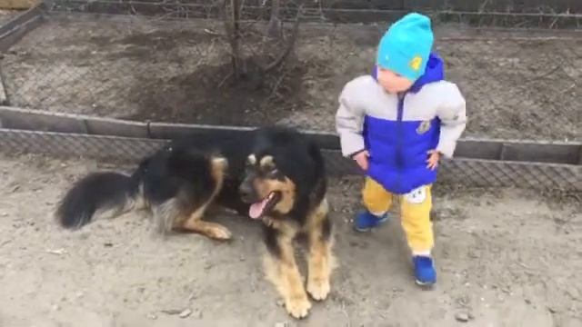 Банхар с детьми ладит смотреть онлайн