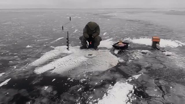 рыбалка в Камском Устье 28.11.16