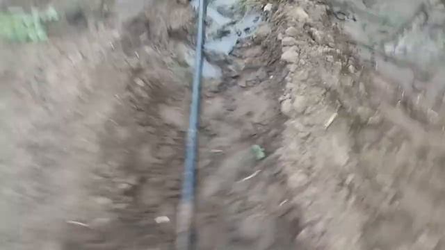 Лук с капельной фертигацией + фолиарная обработка Гумат+7 смотреть онлайн