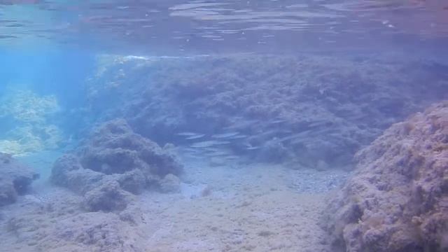 Rhodes, Stegna смотреть онлайн