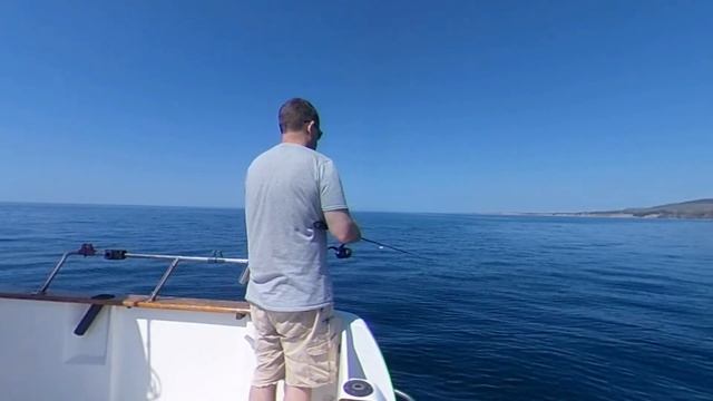 Boat Fishing | Whiting And Callig (Pollack) ? смотреть онлайн