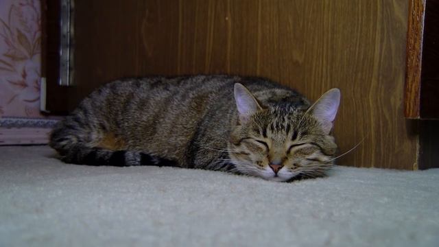 Анюньчик смотреть онлайн