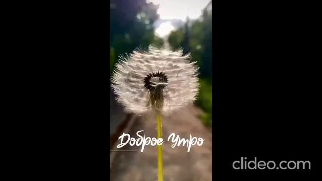 днём 16.08 4 смотреть онлайн