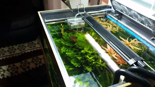 Аквариум Риф 100 смотреть онлайн