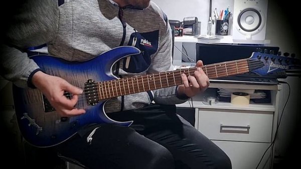 Miracle Of Sound - VALHALLA CALLING ft. Peyton Parrish ( Guitar Cover )