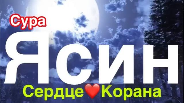 Сура Ясин включайте дома перед сном успокаивает сердце смотреть онлайн