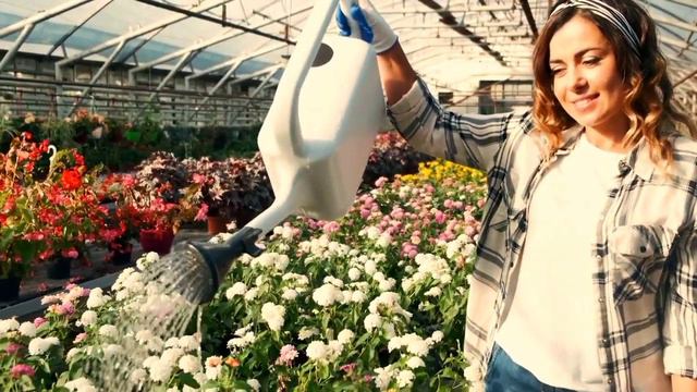 Ankhion Ke Jharonkon Se | Classic Romantic Song | Sachin | Ranjeeta | Hemlata