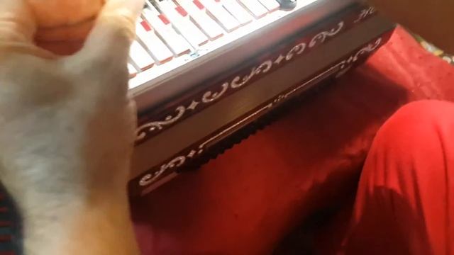 How to disassemble accordion Horch смотреть онлайн