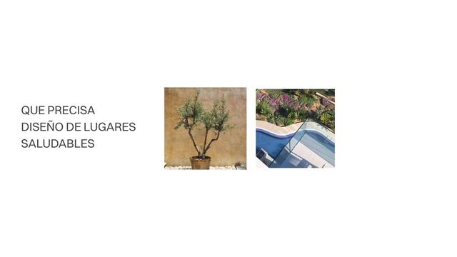 LIQUIDAMBAR | LANDSCAPE ARCHITECTURE DEAL смотреть онлайн