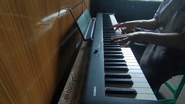 Beginner piano Casio CDP S-100 смотреть онлайн